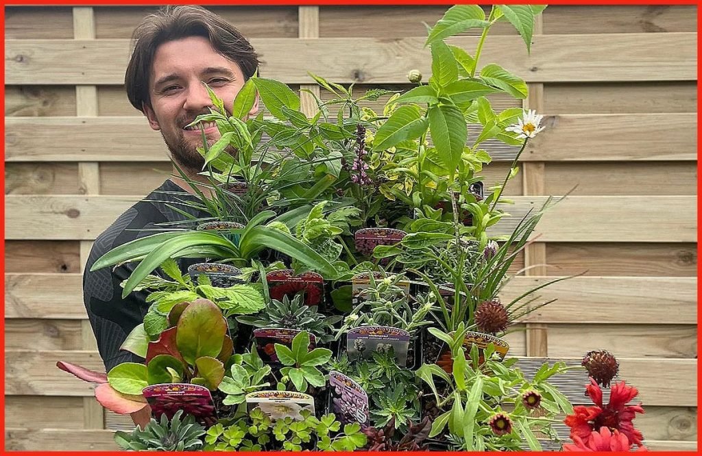 Preparar las Plantas para el Jardín Vertical